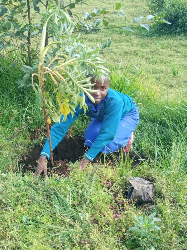 210 Indigenous Trees Planted At Wilderness Bisate By Nyabitsinde ...